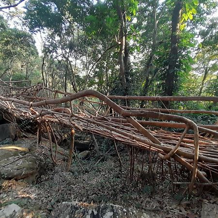 Living Roots Lodge Cherrapunji Eksteriør bilde