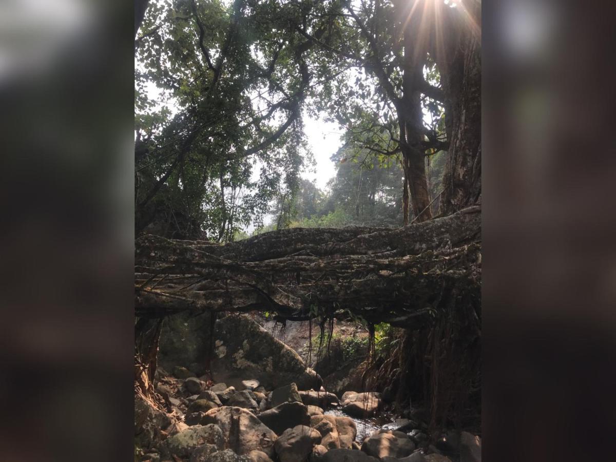Living Roots Lodge Cherrapunji Eksteriør bilde