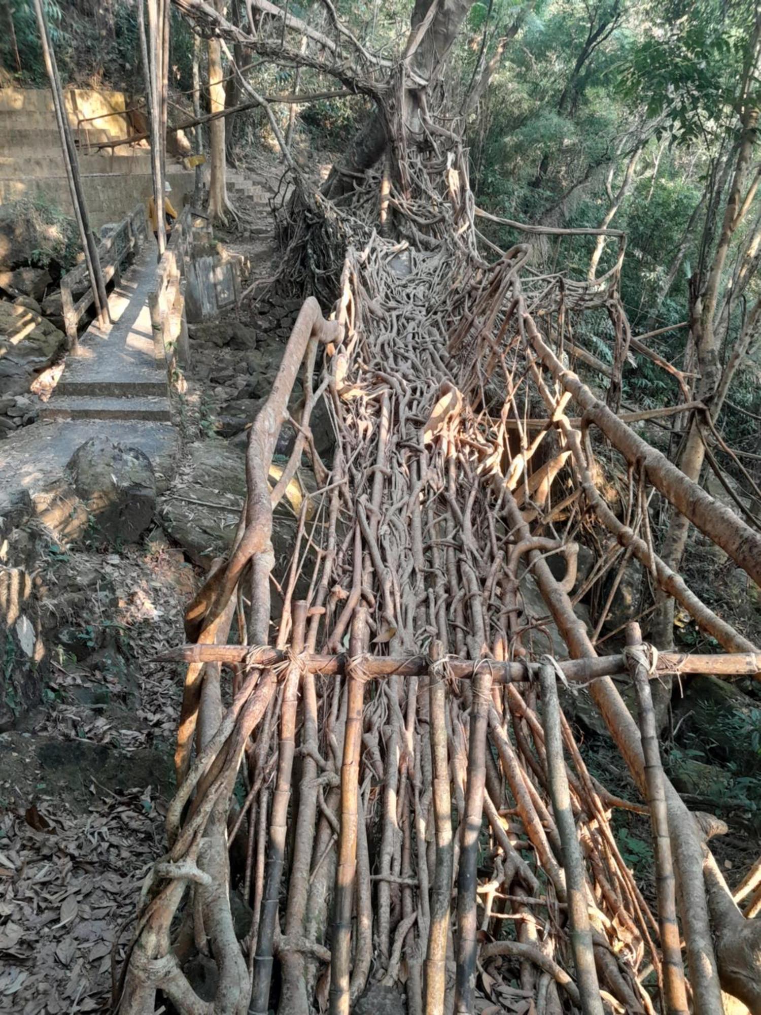 Living Roots Lodge Cherrapunji Eksteriør bilde